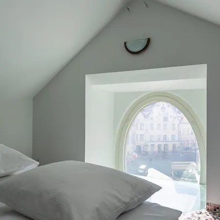 Old Town - Demini 公寓 塔林