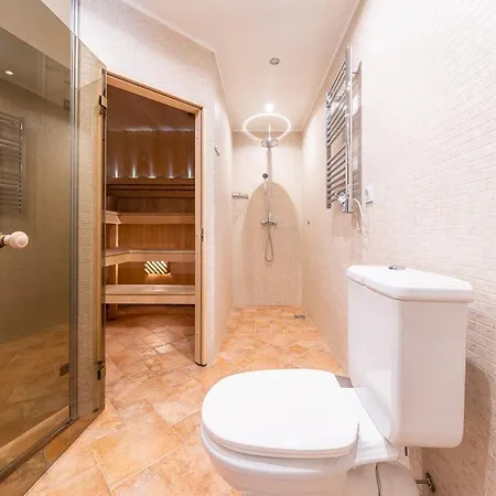 Old Town - Demini 公寓 塔林